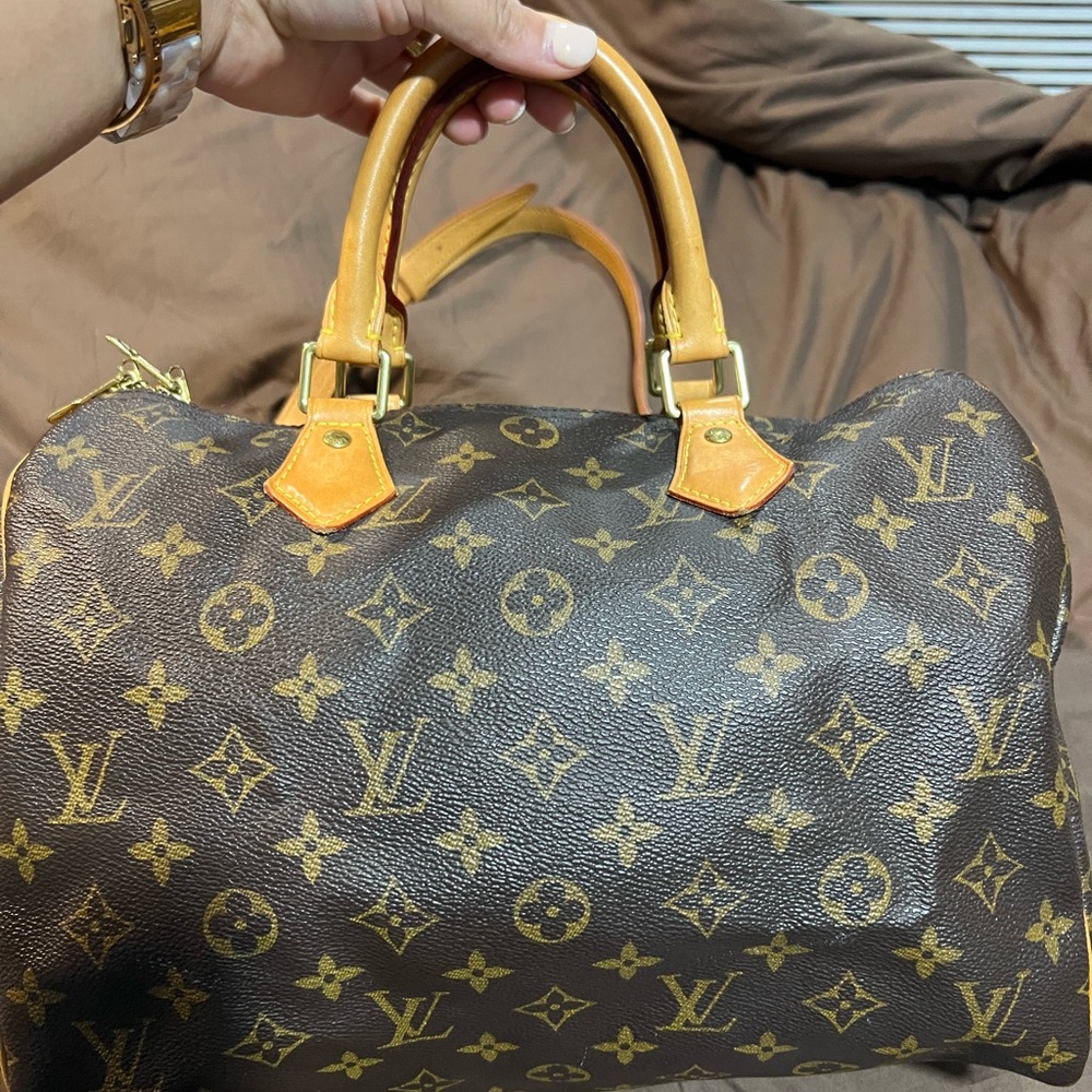 LV Speedy Bag
